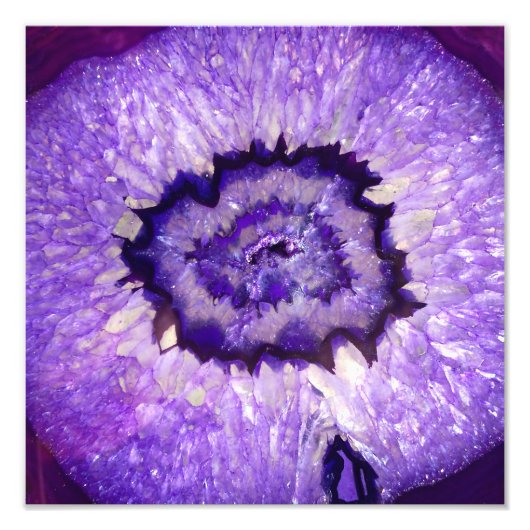 フォールパープルアゲイト フォトプリント            (正面)