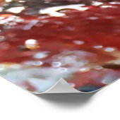 フォールピエドラスアルコアイリス ポスター (角)