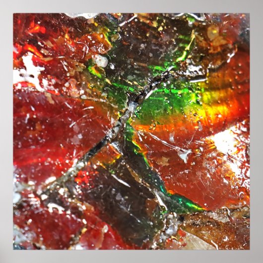 フォールピエドラスアルコアイリス ポスター (正面)