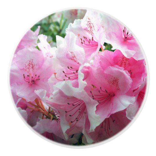 フォールピンクフローラの花 セラミックノブ (正面)