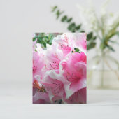 フォールピンクフローラの花 ポストカード (スタンド正面)