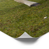 フォールプリント ポスター (角)