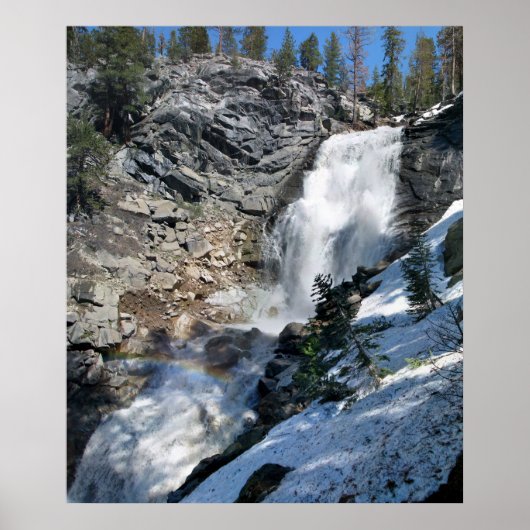 フォールボウ ポスター (正面)