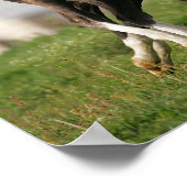 フォールランニング ポスター (角)