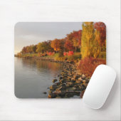 フォールリバー銀行 マウスパッド (マウス)