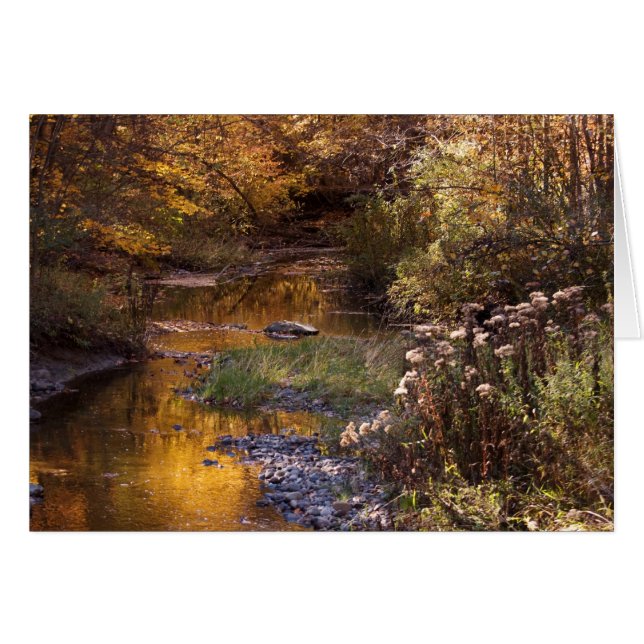 フォールリバー (正面横)