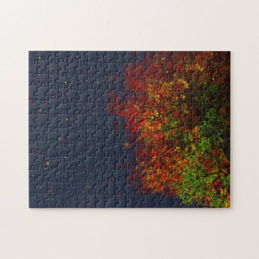 フォールレインボーパズル ジグソーパズル (横)