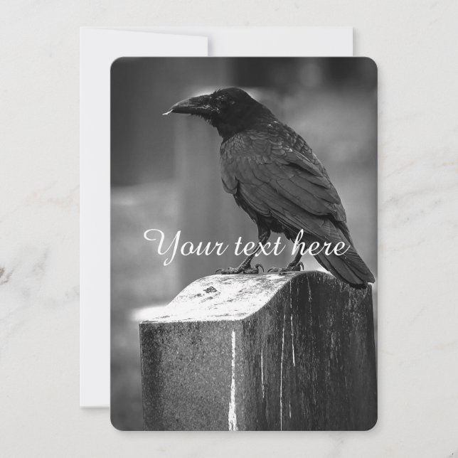 フォールンは羽を見つけた (正面)