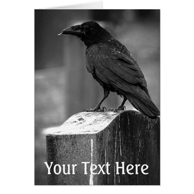 フォールンは羽を見つけた (正面)