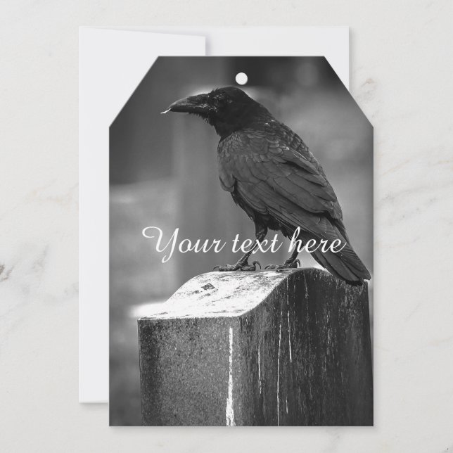 フォールンは羽を見つけた (正面)