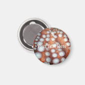 フォールンアップ閉めるタコ マグネット (正面/裏面)