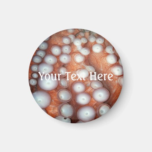 フォールンアップ閉めるタコ マグネット (正面)