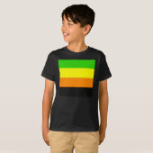 フォールンアロマティックプライド国旗 Tシャツ (正面フル)