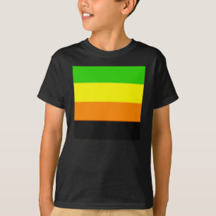 フォールンアロマティックプライド国旗 Tシャツ