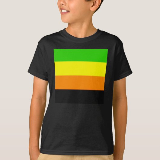 フォールンアロマティックプライド国旗 Tシャツ (正面)