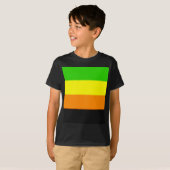 フォールンアロマティックプライド国旗 Tシャツ (正面フル)