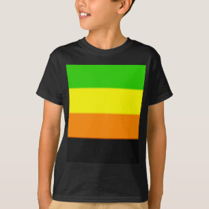 フォールンアロマティックプライド国旗 Tシャツ