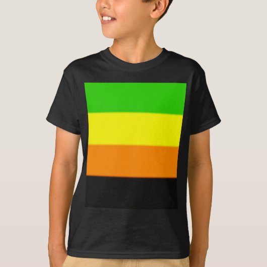 フォールンアロマティックプライド国旗 Tシャツ (正面)
