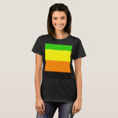 フォールンアロマティックプライド国旗 Tシャツ (正面フル)