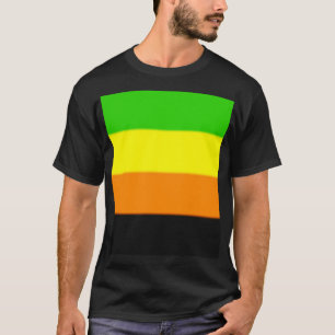 フォールンアロマティックプライド国旗 Tシャツ