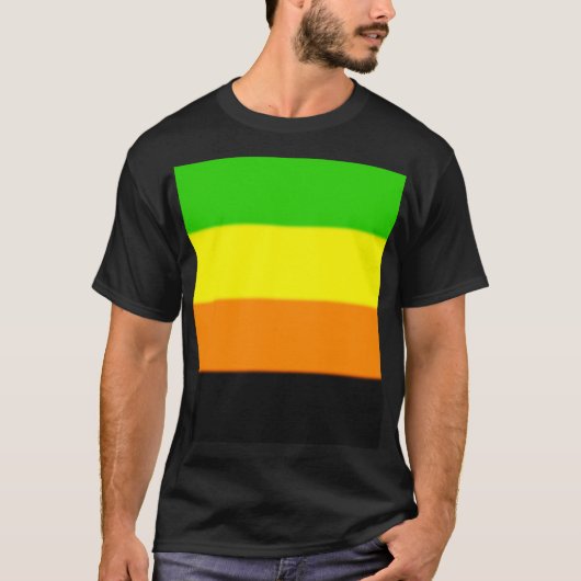 フォールンアロマティックプライド国旗 Tシャツ (正面)