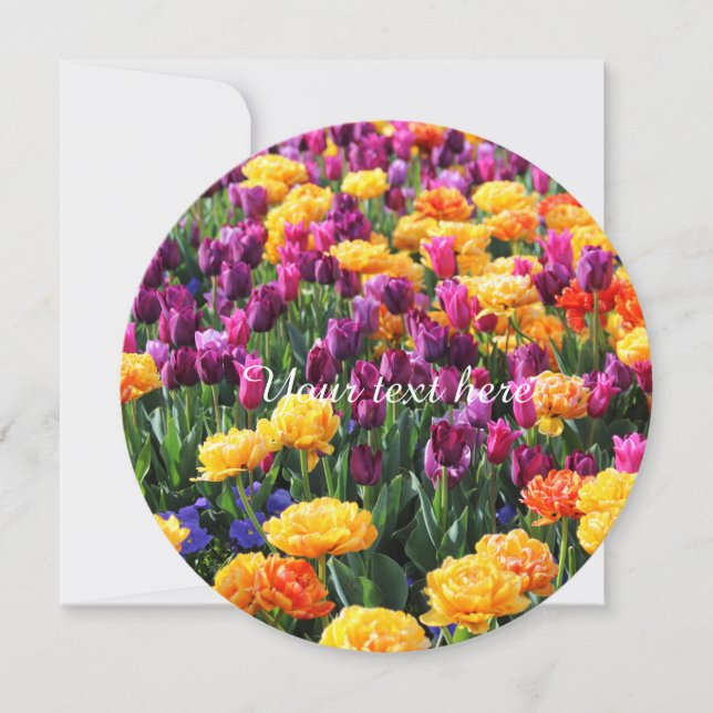 フォールンサンセットフローラ川 (正面)