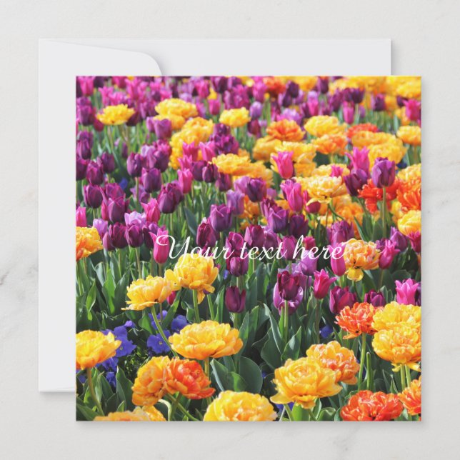 フォールンサンセットフローラ川 (正面)