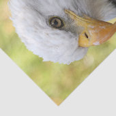 フォールンバルトイーグル自由 薄葉紙 (詳細)