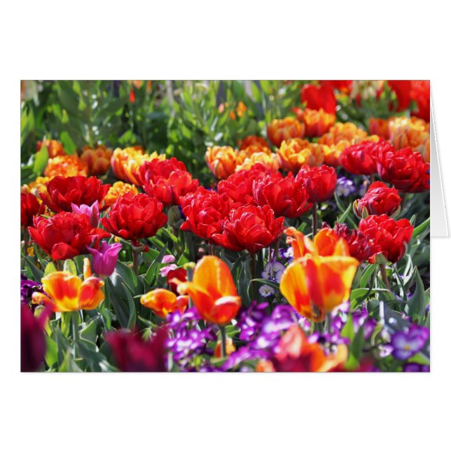 フォールンフローラクリムゾン (正面横)