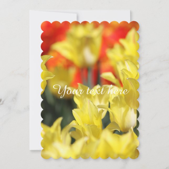 フォールンフローラ夏光 (正面)