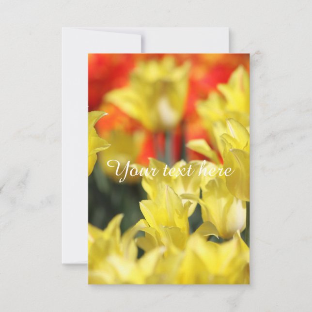 フォールンフローラ夏光 (正面)