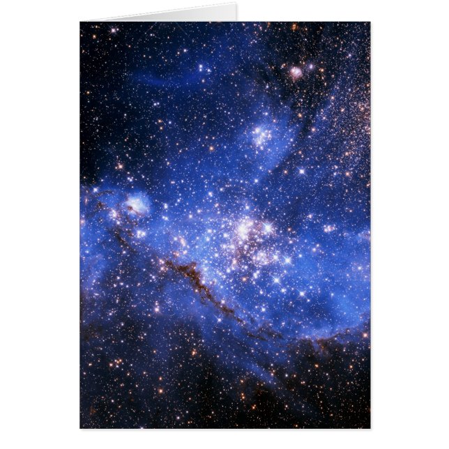 フォールンブルーエンブリオニックスターズ (正面)