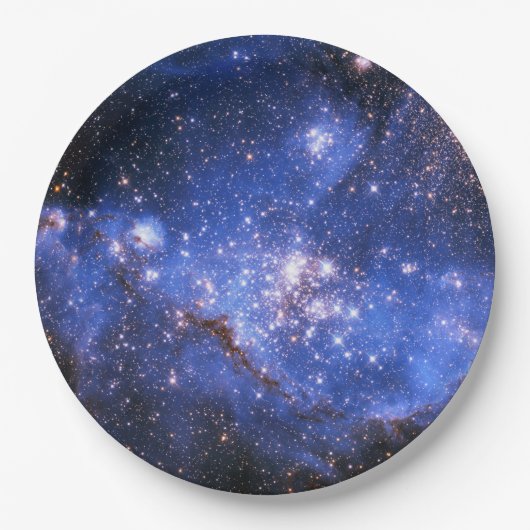 フォールンブルーエンブリオニックスターズ ペーパープレート (正面)