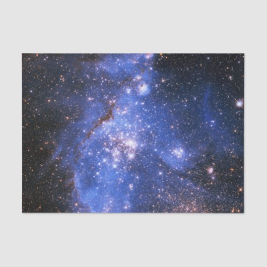 フォールンブルーエンブリオニックスターズ 薄葉紙 (正面)