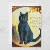 フォールンメリーハロウィーン猫 (裏面)