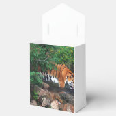 フォールンリューティングタイガー フェイバーボックス (オープン)