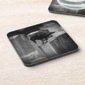 フォールン墓地クロウ コースター (左側)