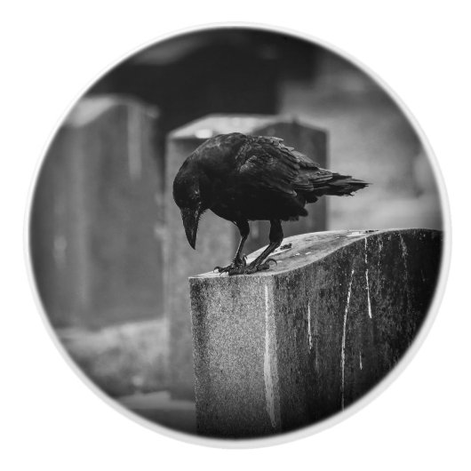 フォールン墓地クロウ セラミックノブ (正面)
