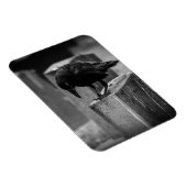 フォールン墓地クロウ マグネット (右側)