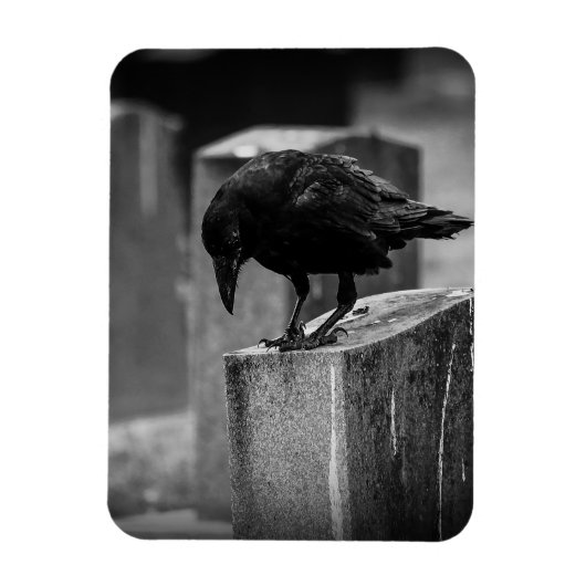 フォールン墓地クロウ マグネット (縦)