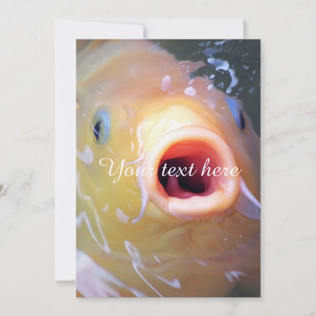 フォールン歌唱幽霊コイ (正面)