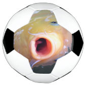 フォールン歌唱幽霊コイ サッカーボール (回転)