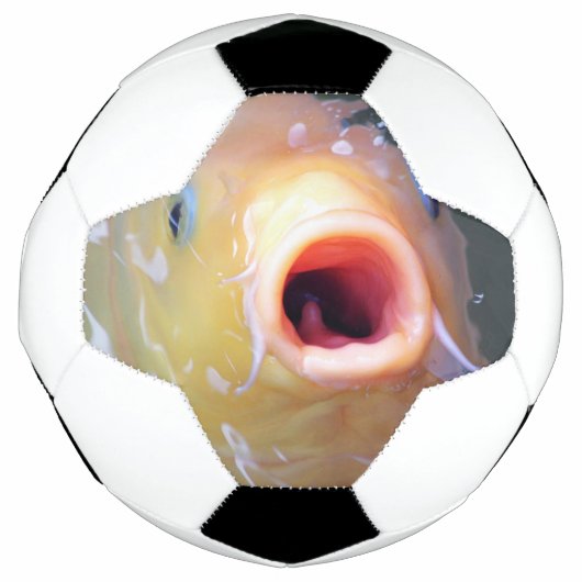 フォールン歌唱幽霊コイ サッカーボール (正面)