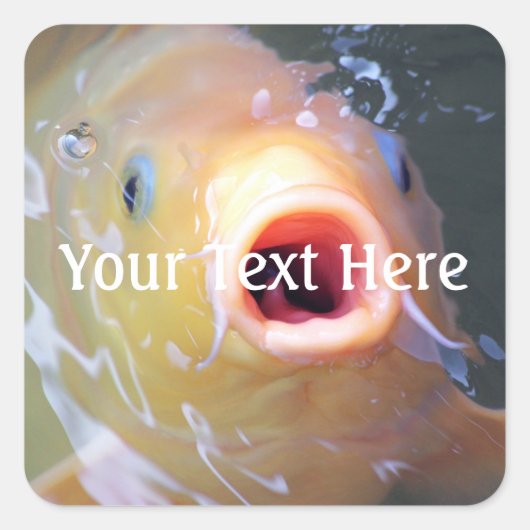 フォールン歌唱幽霊コイ スクエアシール (正面)