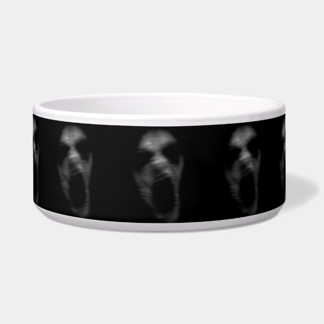 フォールン精神障害 ボウル (正面)