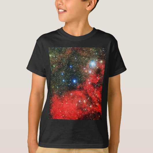 フォールン金ゴールドダステッド銀河系 Tシャツ (正面)