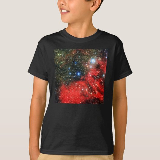 フォールン金ゴールドダステッド銀河系 Tシャツ (正面)