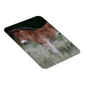 フォール立ち マグネット (右側)