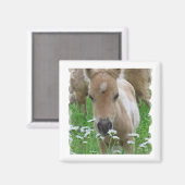 フォール臭いデイジースクエアマグネット マグネット (正面/裏面)