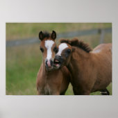 フォール遊ズ ポスター (正面)